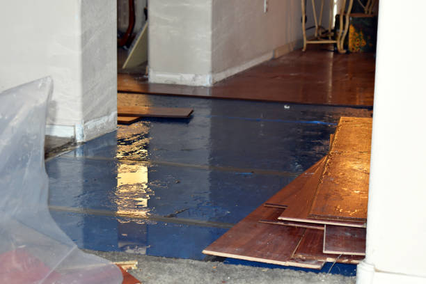 Professional Water Extraction technician working in Woody, CA